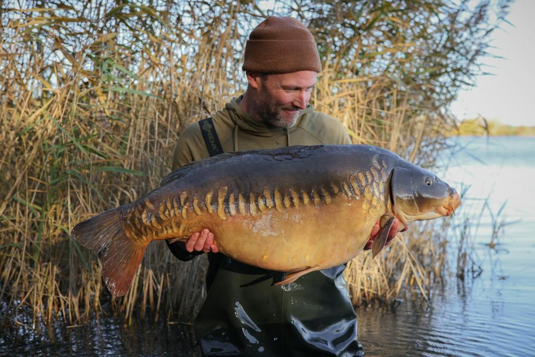 A carp from the stock ledger, held by an angler